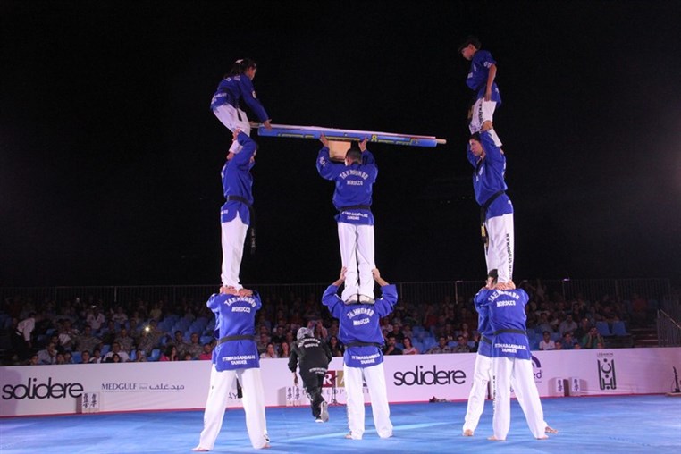 Martial Arts Festival